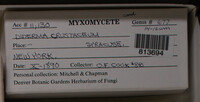 Image Associated With the Occurence